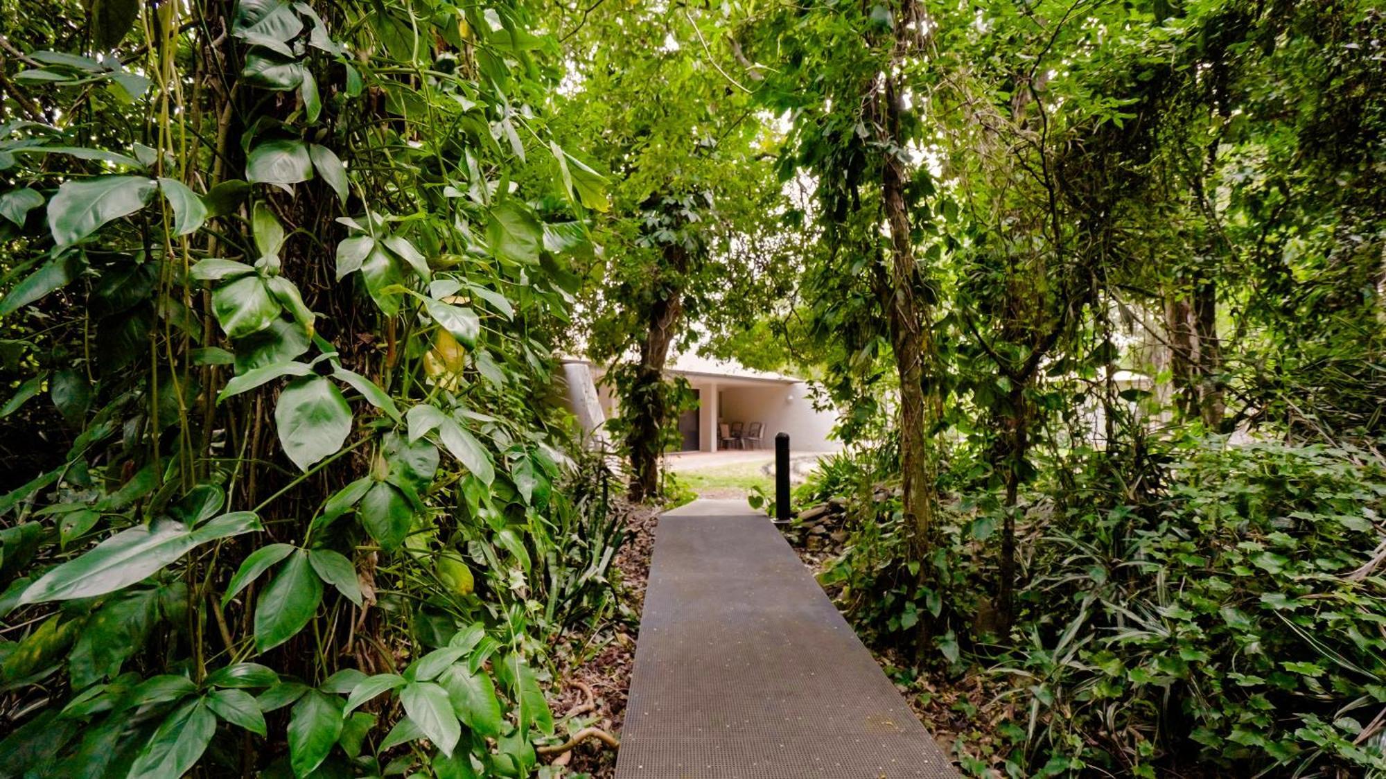 Invercauld House Goonellabah Exterior photo